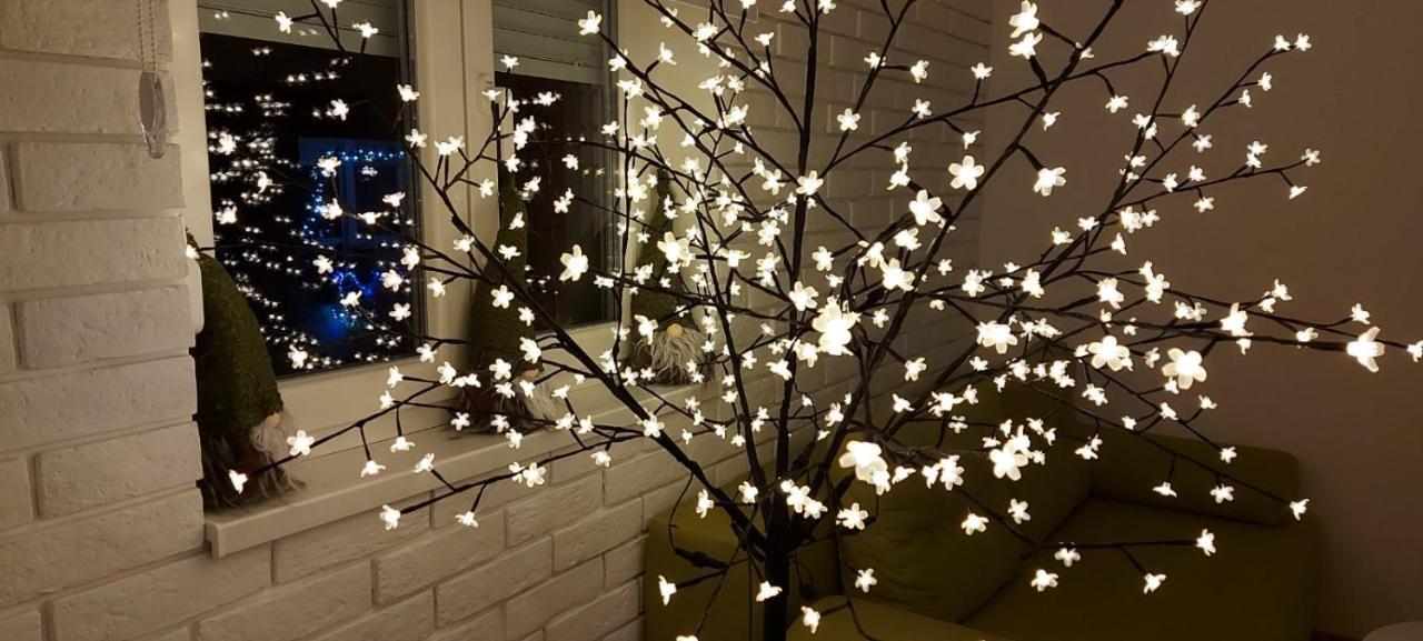 Apartment Ana, Vracar, בלגרד מראה חיצוני תמונה