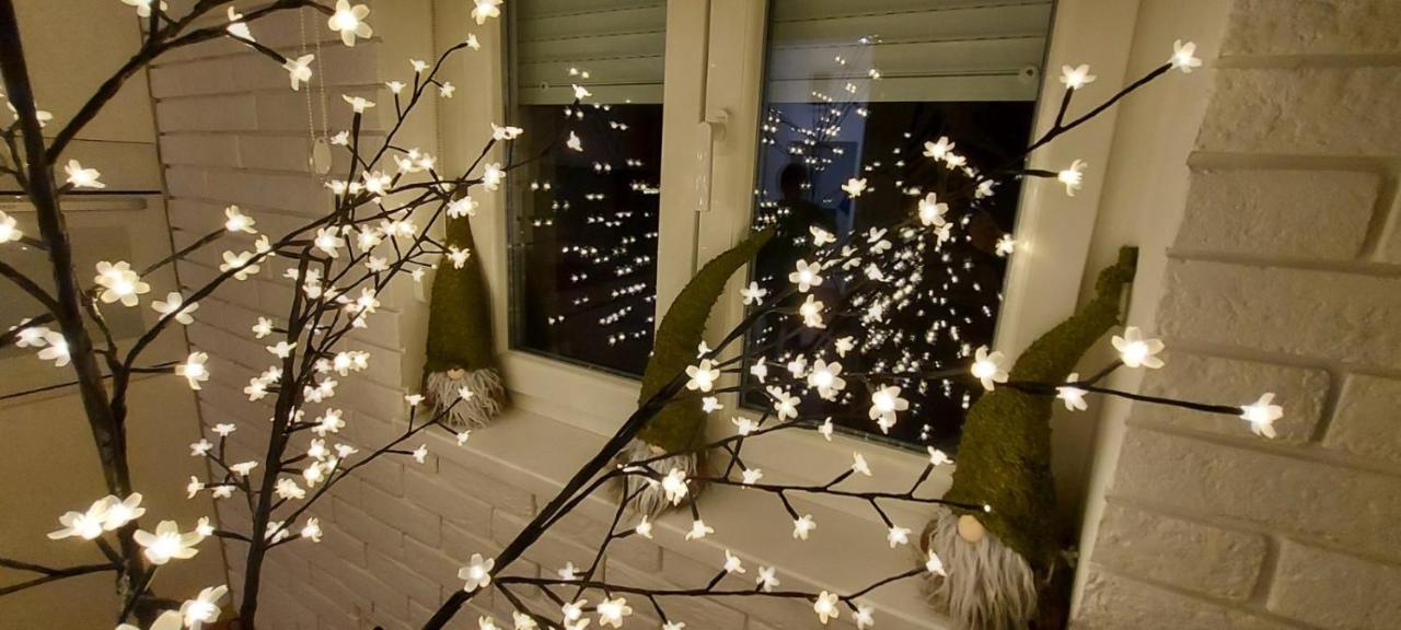 Apartment Ana, Vracar, בלגרד מראה חיצוני תמונה